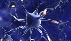 neurotoxicitat