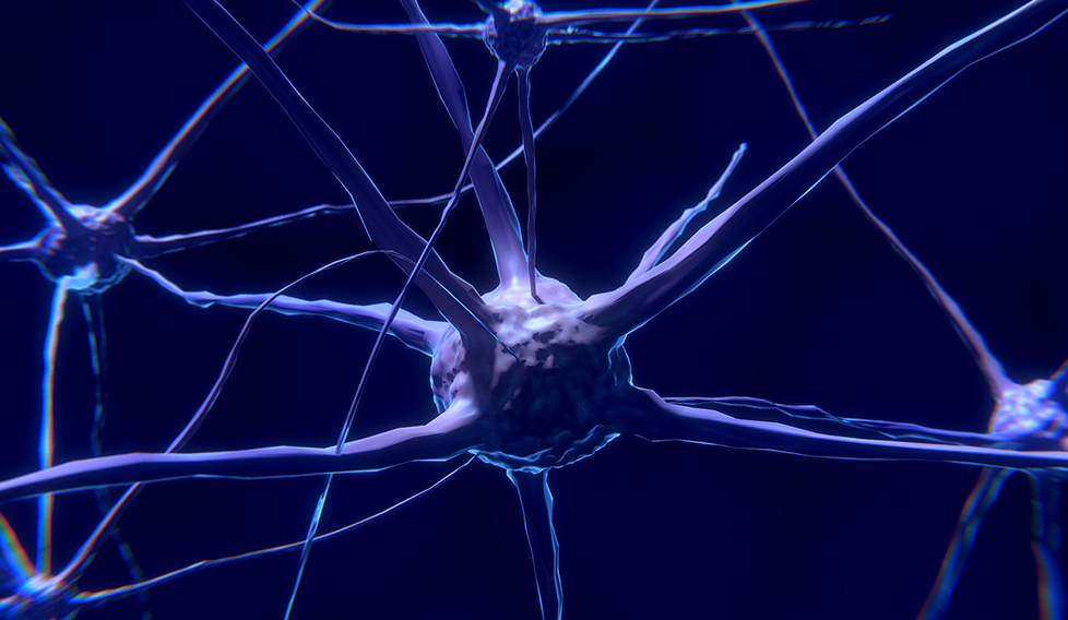els-efectes-neurotoxics-mes-frequents