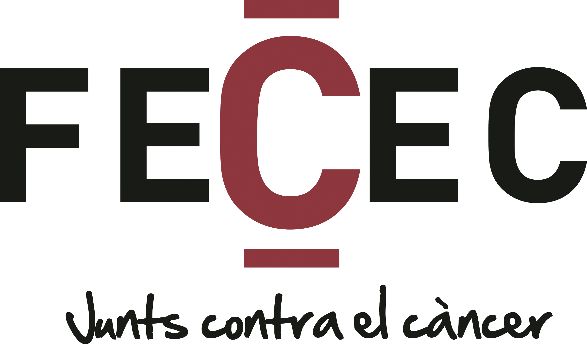 logo de Fecec